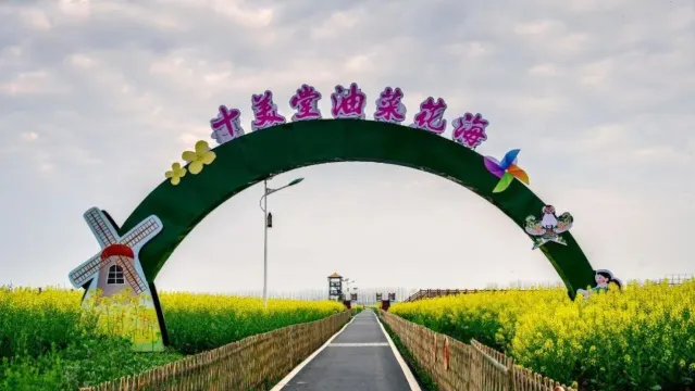 十美堂鎮油菜花海