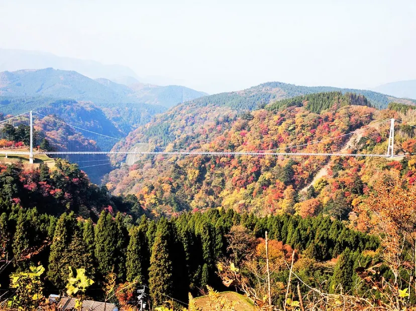 九重夢吊橋
