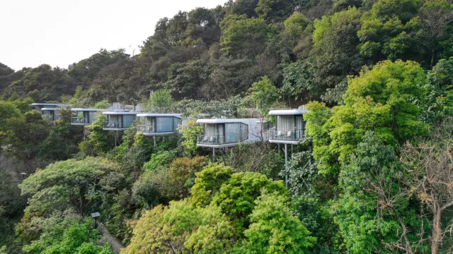 森林秘境雲頂懸居美墅酒店