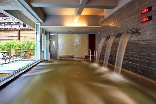 麗多森林溫泉酒店