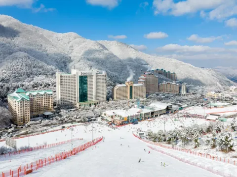 Sono Belle Vivaldi Park 索諾美麗維瓦爾第公園度假村