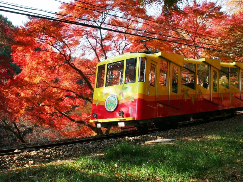 「米芝蓮3星景點」高尾山