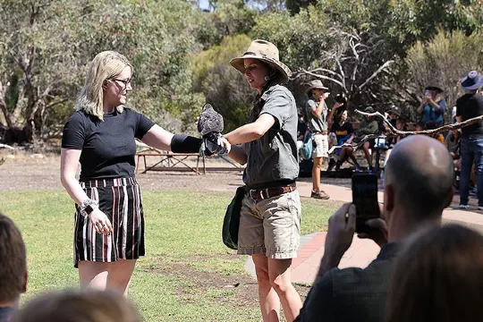 雀鳥動物保育中心