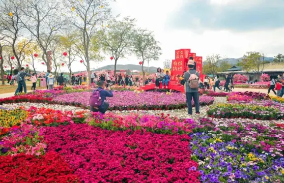 高明盈香生態園