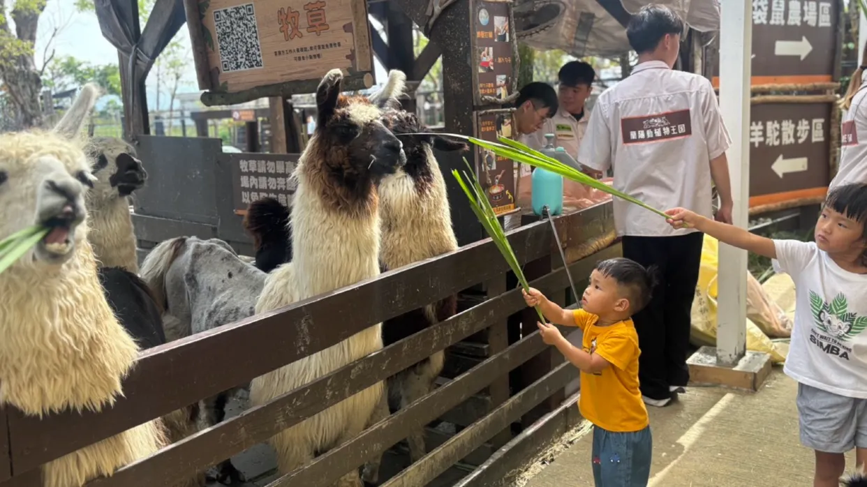 永安旅游