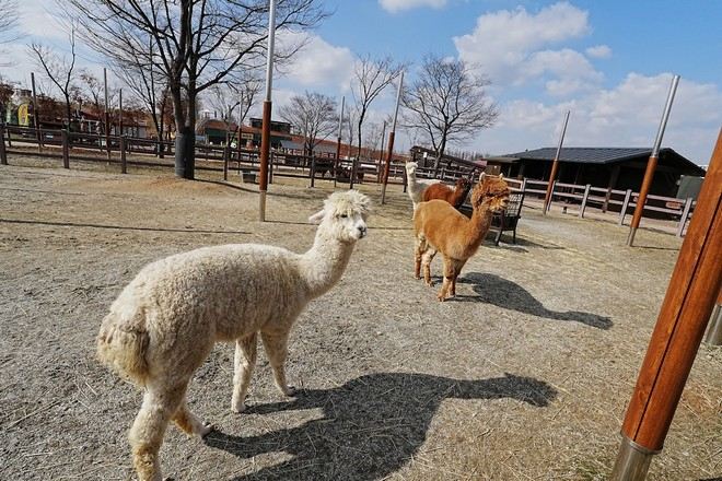 ANSEONG FARMLAND安城農園