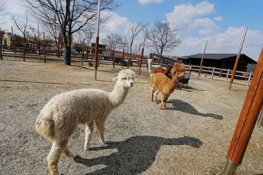 ANSEONG FARMLAND安城農園 