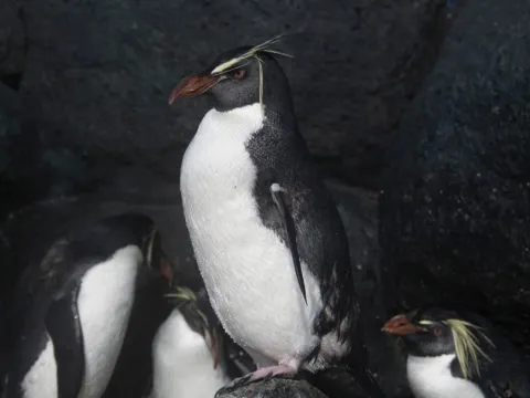 蘭卡威海底世界Underwater World