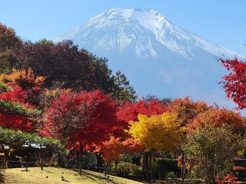 山中湖花之都公園~清流之里