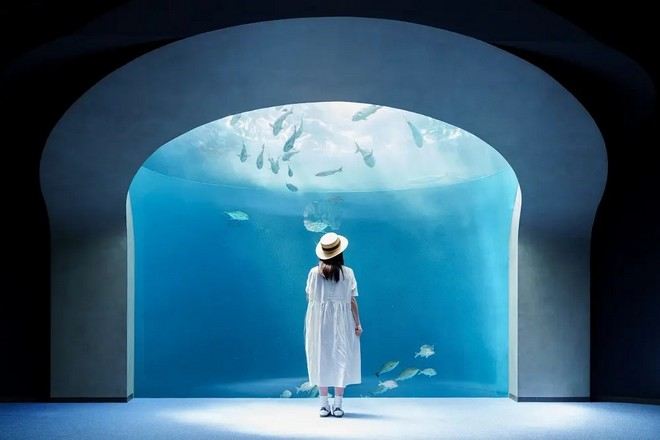 四國水族館@三豐市觀光交流局