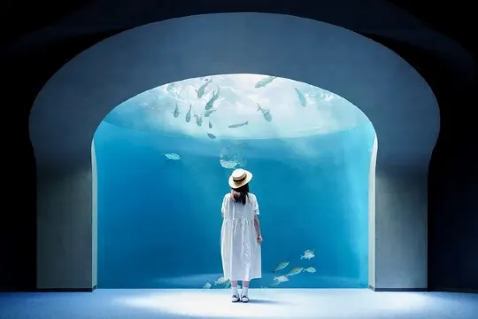 四國水族館@三豐市觀光交流局