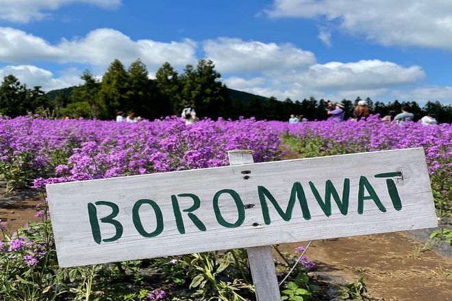 風之山坡Boromwat