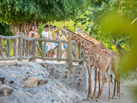 芽莊VinWonders珍珠島