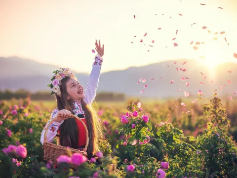 保加利亞_玫瑰谷