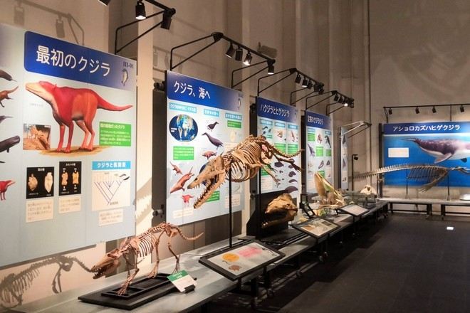 足寄動物化石博物館