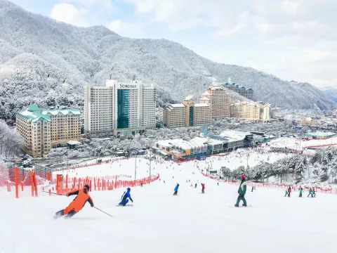 Sono Belle Vivaldi Park 索諾美麗維瓦爾第公園度假村