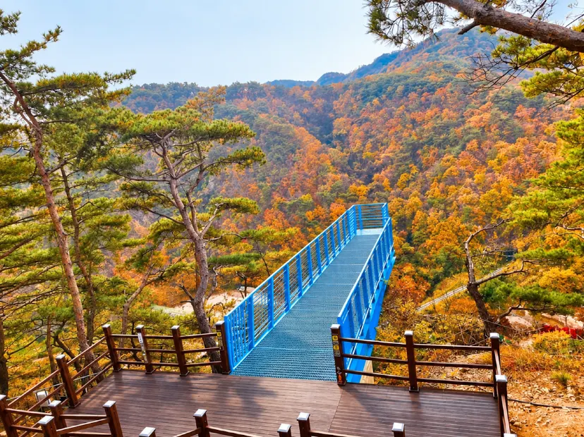 原州小金山大峽谷