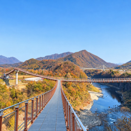 京畿道+首爾5天遊玩之旅 ※【京畿道人氣景點】抱川香草島樂園、「DMZ非武裝地帶」臨津閣展望臺 ~和平Nuri公園 ~自由橋、恩平韓屋村、漢灘江Y型懸索吊橋 +鴿子囊瀑布