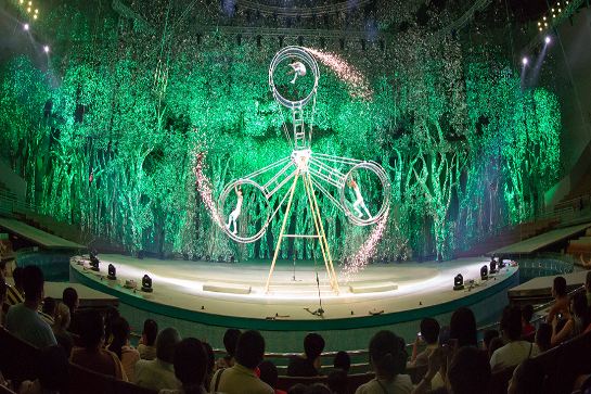 靈玲國際馬戲城