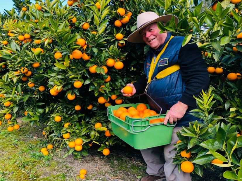 Rayner's Orchard雷納果園