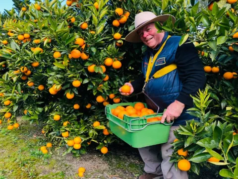 Rayner's Orchard雷納果園