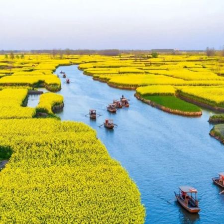 江南(揚州、興化千垛油菜花田、蘇州、上海) 5天團
鳳城河梅園、七里山塘街、東關街、黃浦江外灘、武康大樓、打卡網紅LV巨輪【蘇州保證入住1晚私人度假島嶼上高端豪華Four Seasons四季酒店】