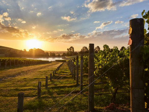 Soumah of Yarra Valley