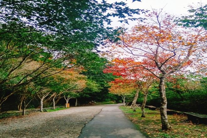 滿月圓國家森林遊樂區