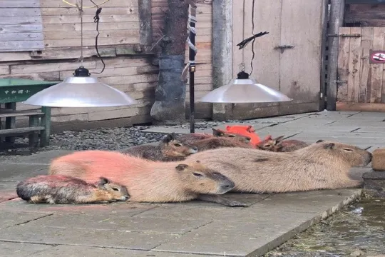 蘭陽動植物王國