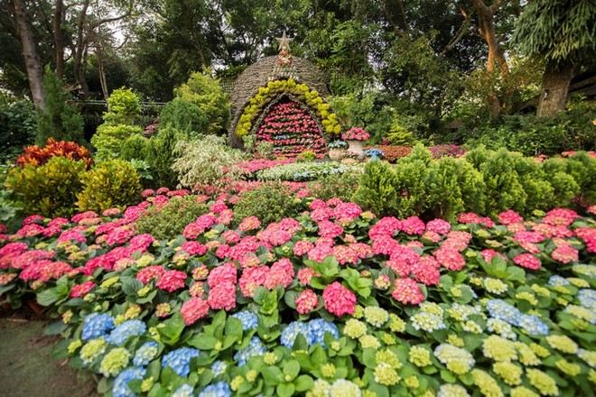 苗栗縣花露農場