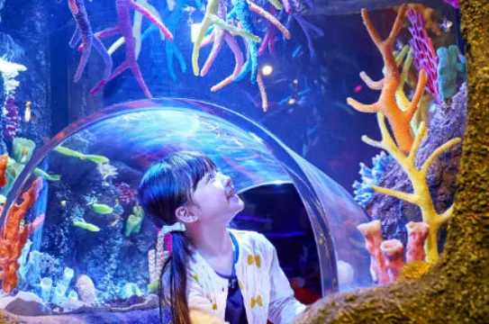 SEA LIFE 海洋探索中心