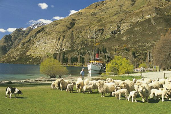 瓦爾特峰高原牧場