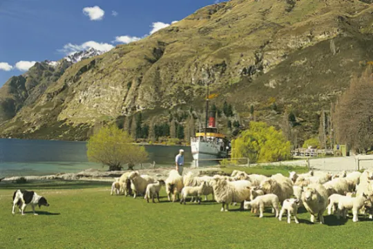 瓦爾特峰高原牧場