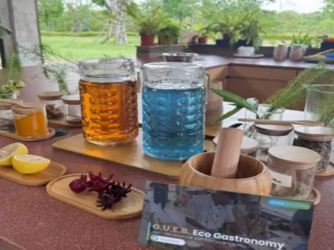 巴雅英達濕地公園探索之旅