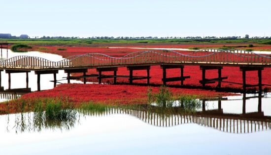 紅海灘國家風景廊道