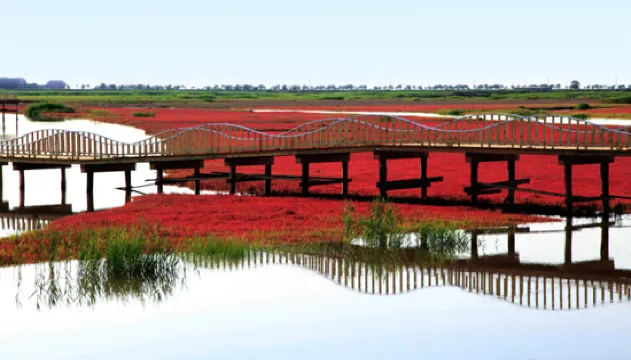 紅海灘國家風景廊道