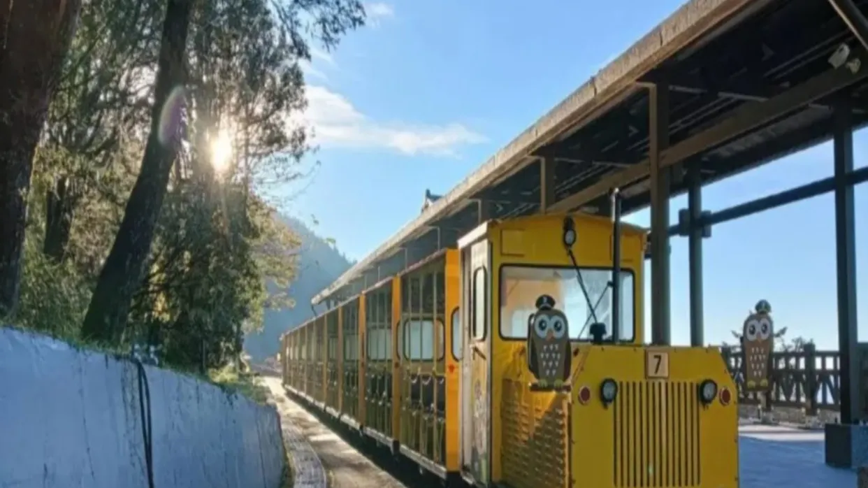 蹦蹦車體驗