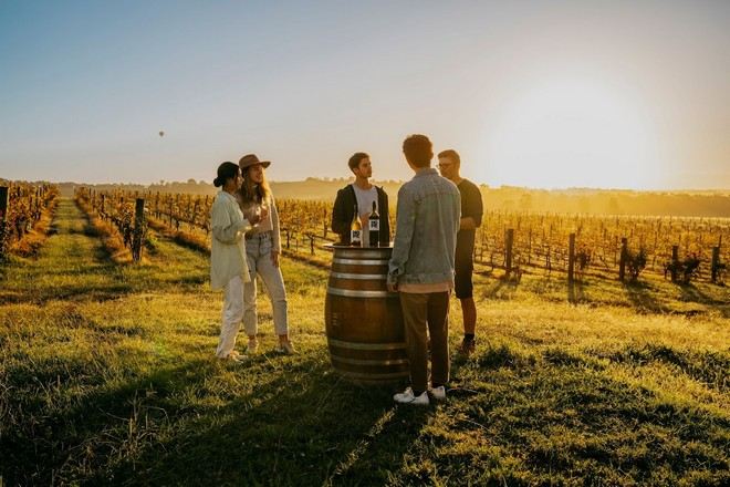 獵人谷葡萄酒莊