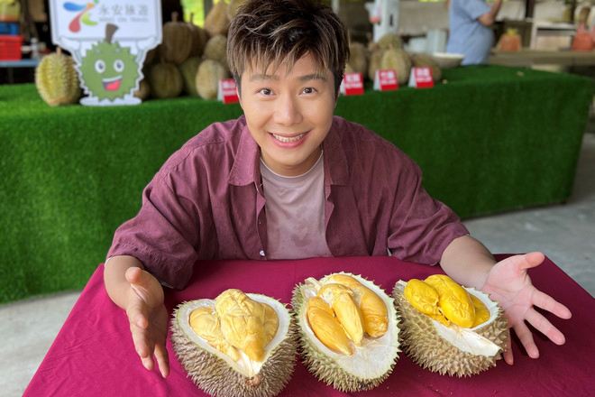 檳城榴槤山果園