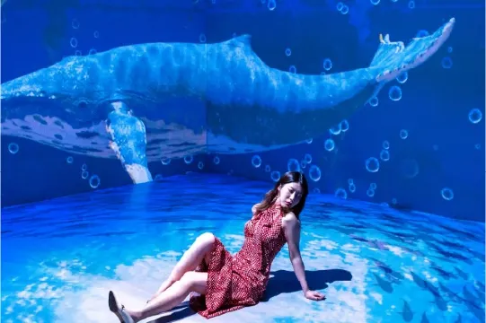 Space & Time Cube + ~沉浸式3D體驗