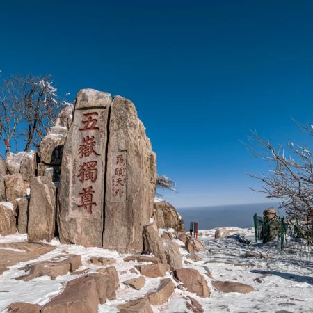 【5鑽】【皇牌】山東‧青島、泰安、濟南、東營6天純玩之旅 黃河口生態旅遊區(十萬鳥浪回巢、近距離觀看餵飼珍稀雀鳥)、五嶽之首泰山、濟南大明湖畫舫、泉水下午茶、凱賓斯基酒店53層雲端早餐、雲上海天觀光廳
