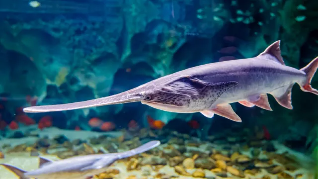 小梅沙海洋世界