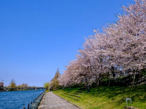 富岩運河環水公園