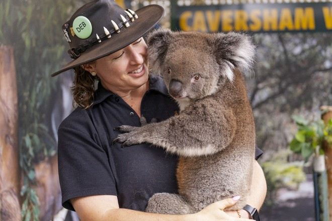 卡弗沙姆野生動物園