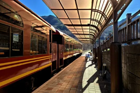 之字形蒸汽觀光火車體驗