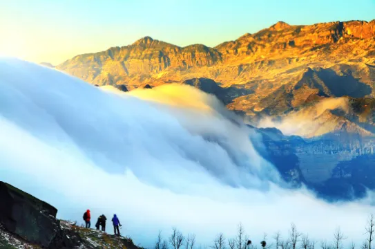 金佛山國家森林公園