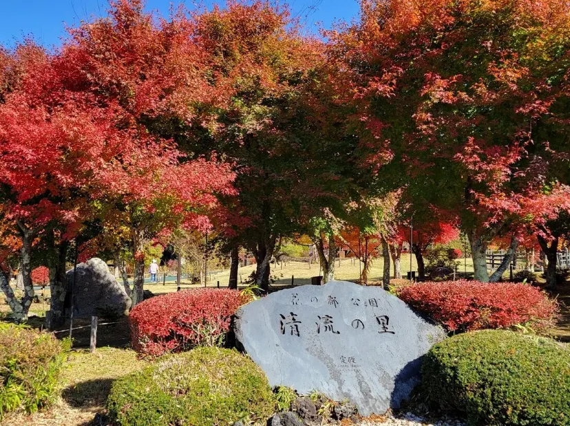 山中湖花之都公園~清流之里