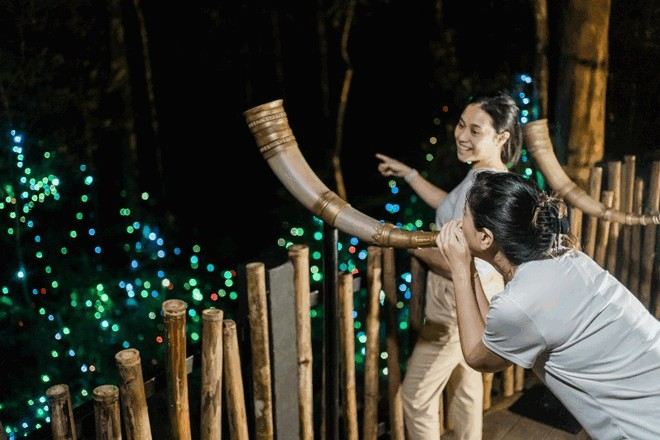 蘭卡威夢幻森林體驗 Dream Forest 