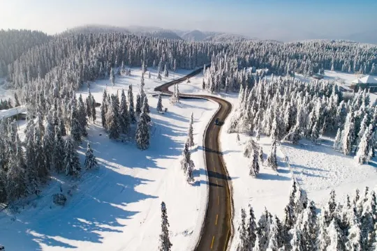 仙女山國家森林公園