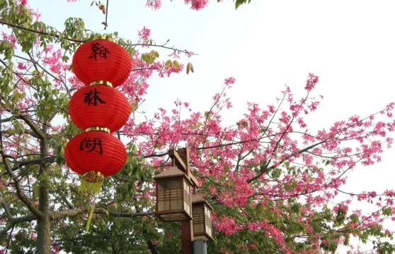 翰林湖農業公園